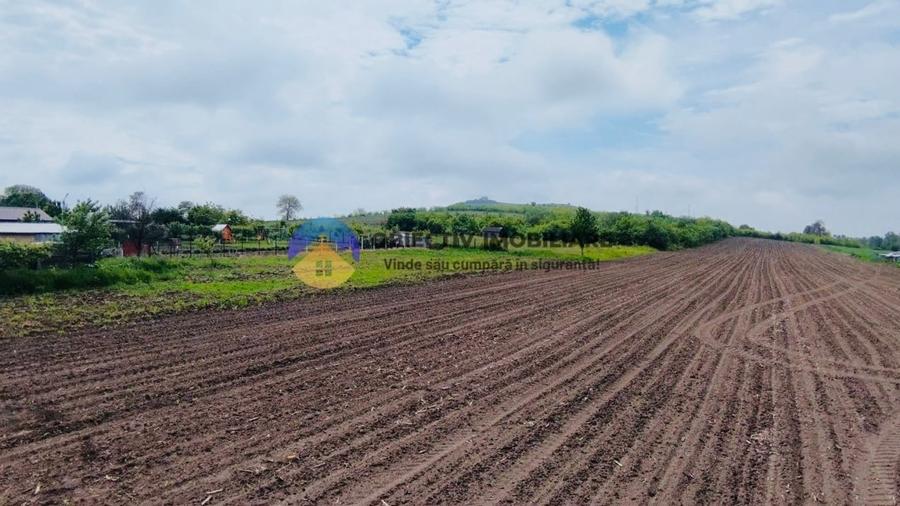 Teren intravilan de 12300 mp, în Cârligi