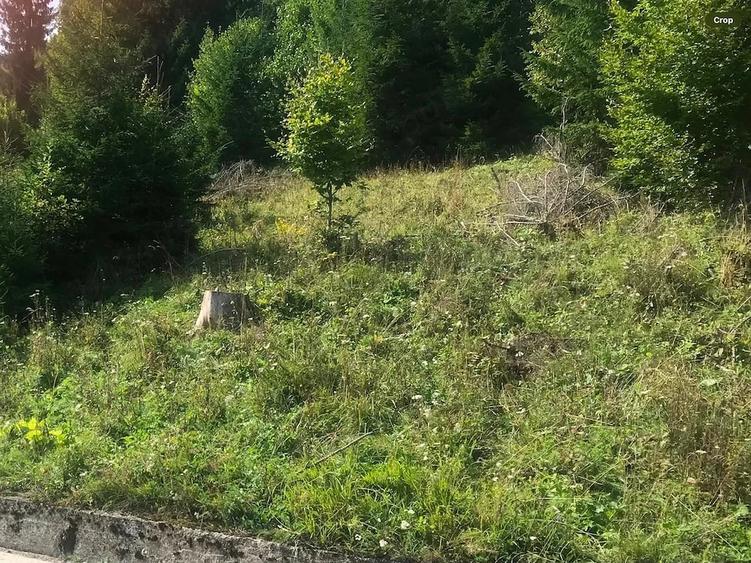 Teren de 4000 mp, în Durău