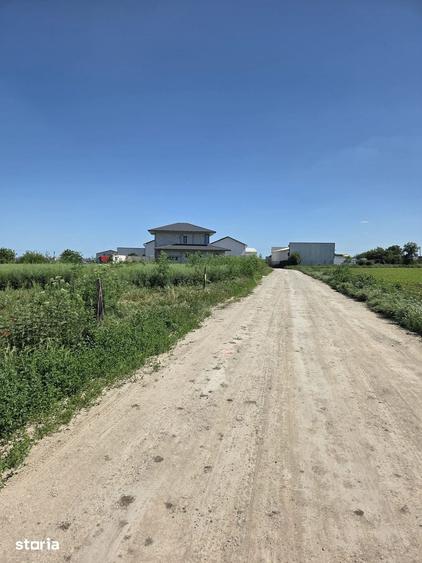 Teren de vanzare in Ovidiu, Strada Livezi, 680 mp, deschidere 32 m - 2
