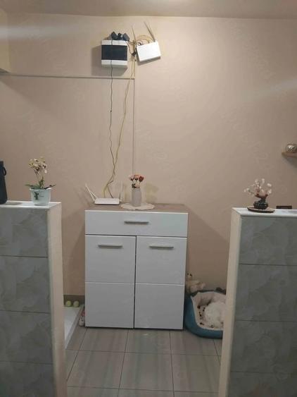 Apartament cu 2 camere semidecomandat în Micălaca
