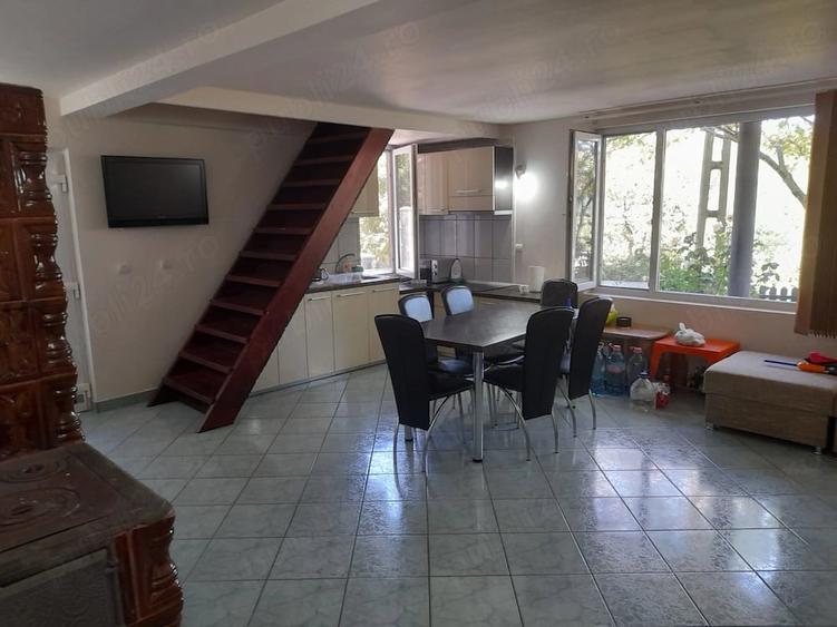 Casă cu Teren 2440 Mp în Sasca Română