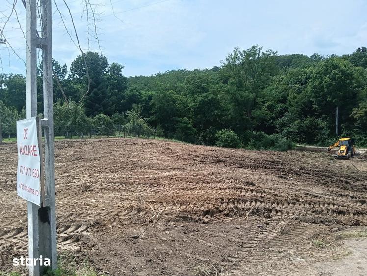 Teren de 1807 mp, în Cocorăștii Mislii