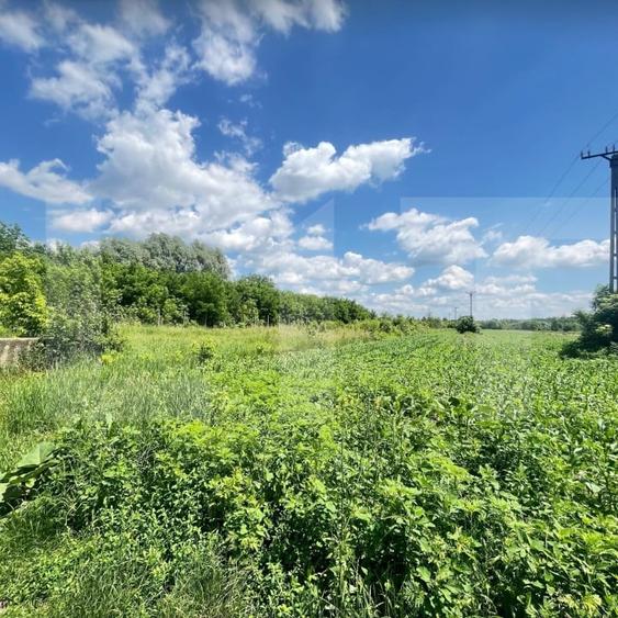 Teren agricol intravilan de 9300 mp, în Dorohoi