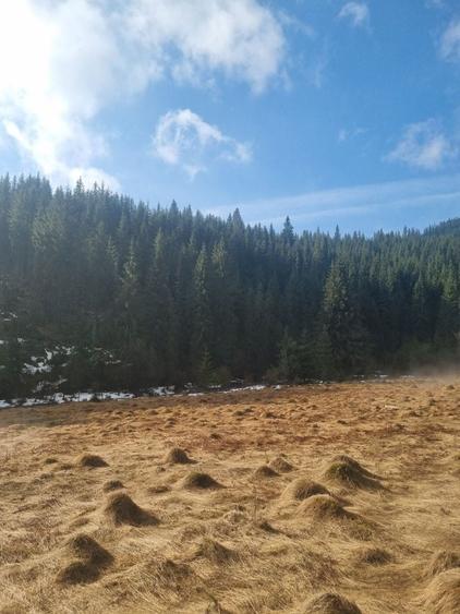 Teren de 43000 mp, în Fildu de Mijloc