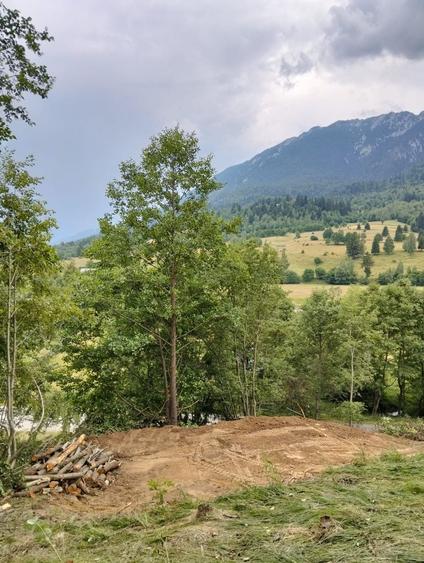 Teren de 8200 mp, în Plaiul Foii