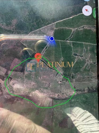 Teren agricol extravilan de 64700 mp, în Ghizela