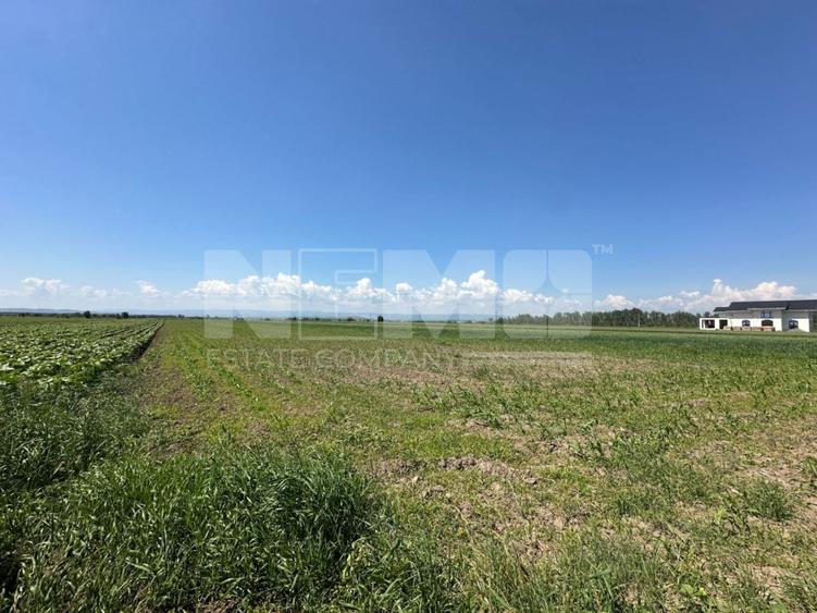 Teren agricol extravilan de 5300 mp, în Frătăuții Vechi