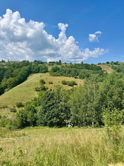 Teren de 12920 mp, în Poiana Mărului