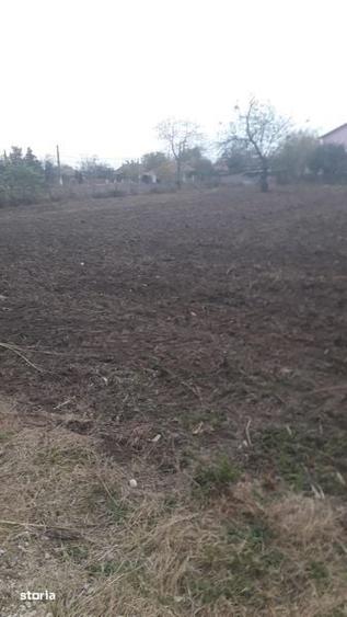 Teren de 3500 mp, în Nicolae Bălcescu