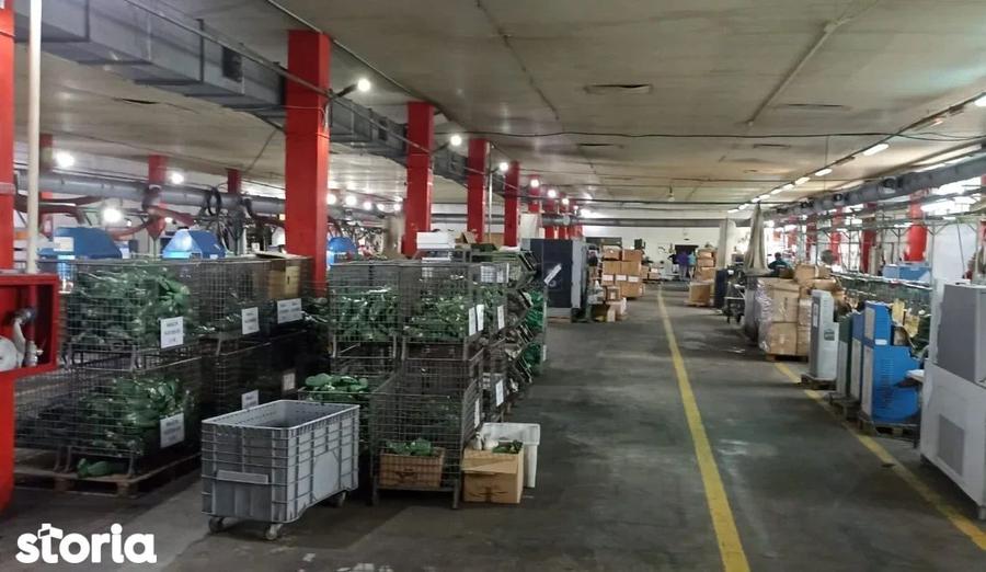 Spațiu comercial, de 10,379 mp, în Central