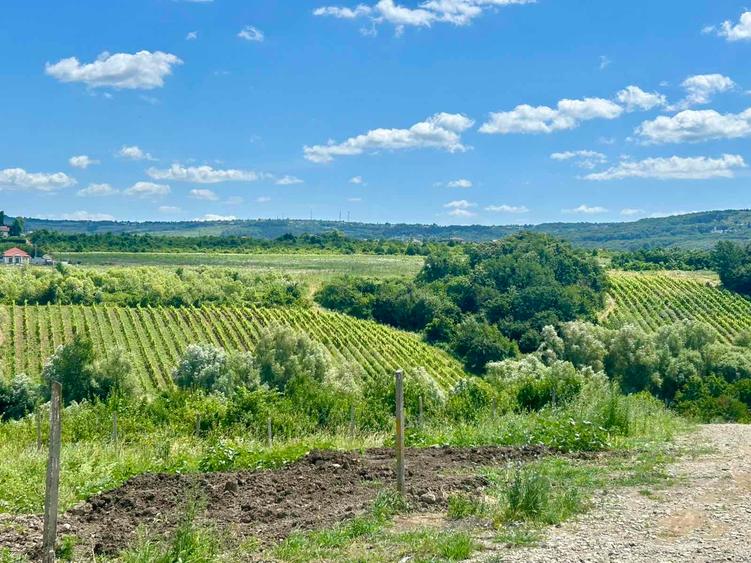 Teren intravilan de 670 mp, în Vișani