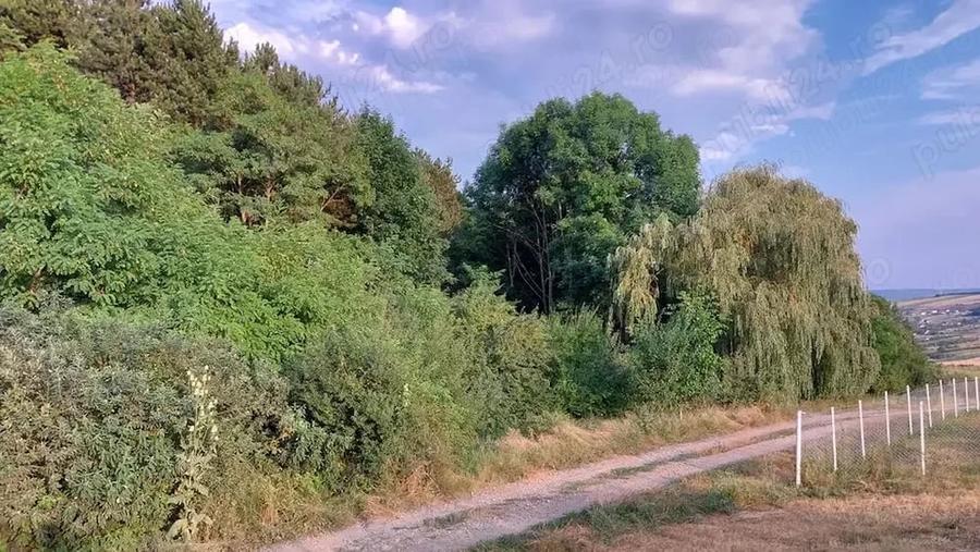 Teren de 1992 mp, în Nord