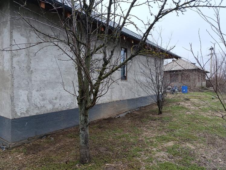 Casă cu 3 camere cu Teren 1000 Mp în Central