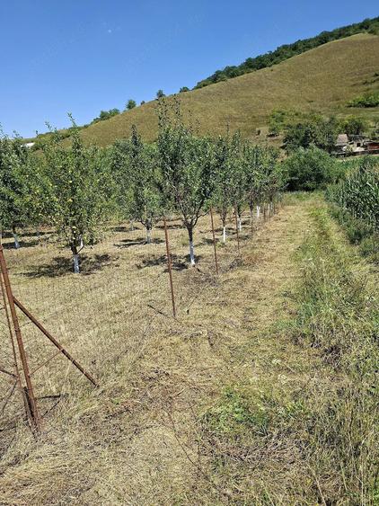 Teren de 4800 mp, în Căptălan
