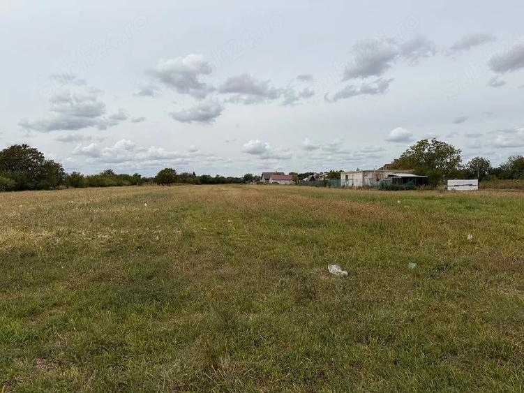 Teren de 5350 mp, în Petrăchioaia