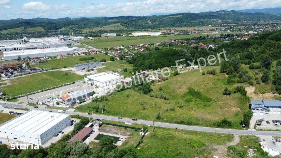 Teren de 17086 mp, în Curtea de Argeș