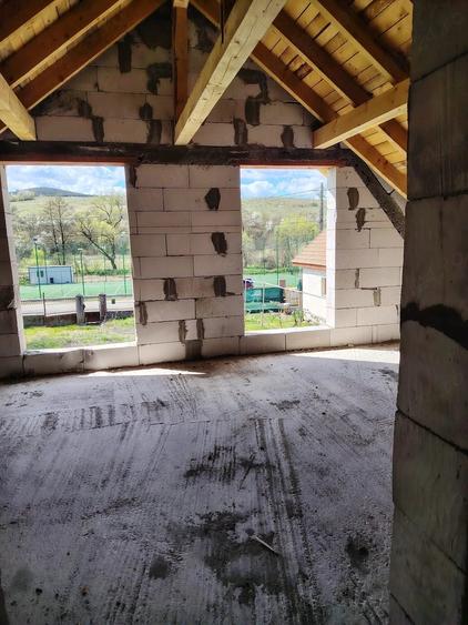 Casă cu Teren 3500 Mp în Pestișu Mic