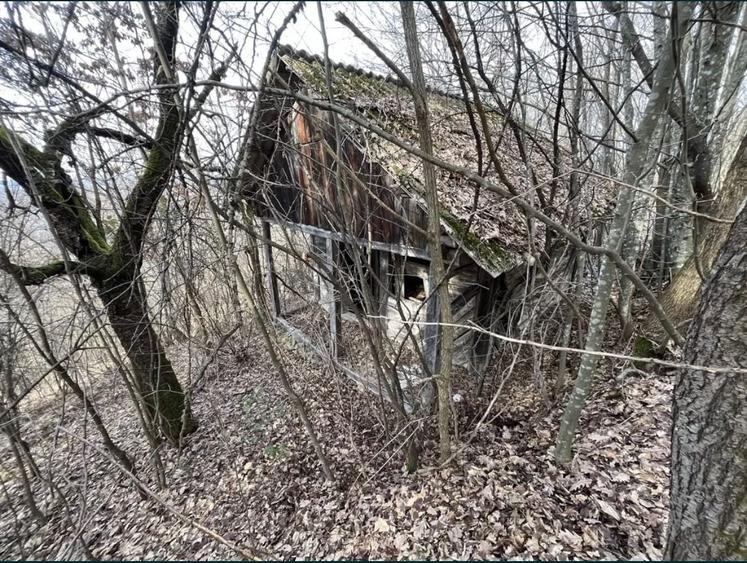 Teren de 20000 mp, în Brusturi