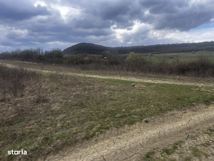 Teren de 5100 mp, în Central