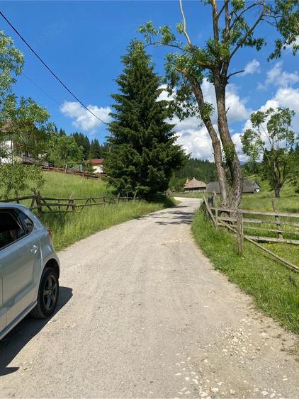 Teren de 5000 mp, în Fundățica