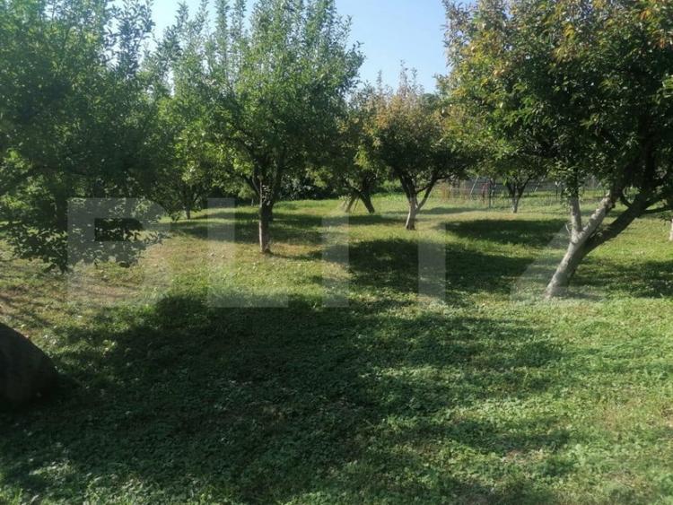 Casă cu 5 camere cu Teren 8800 Mp în Adâncata