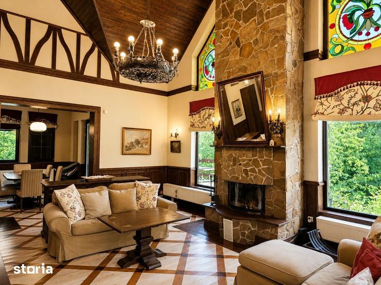 Mountain Chalet | Private Resort | Investment - Nistoresti - 17