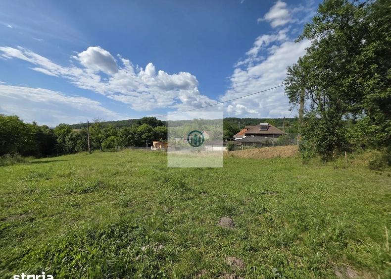 Teren agricol extravilan de 2340 mp, în Șoimuș