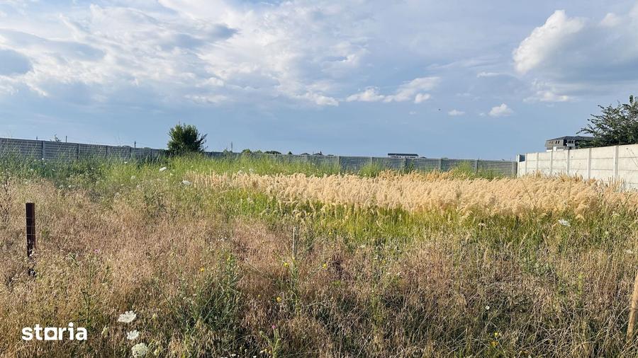 Teren de 600 mp, în Chiajna