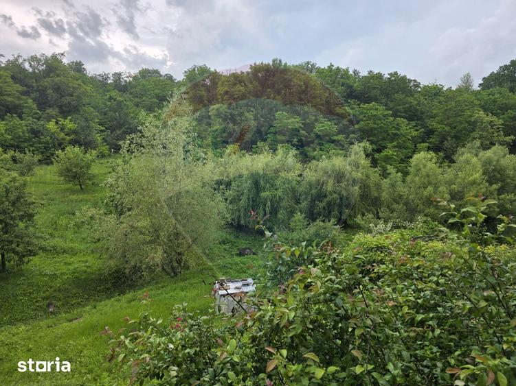 Casă cu 6 camere cu Teren 3548 Mp în Sănduleni