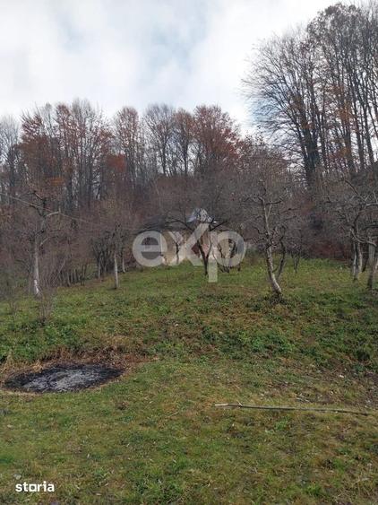 Teren Construcții intravilan de 2200 mp, în Râu Alb de Sus