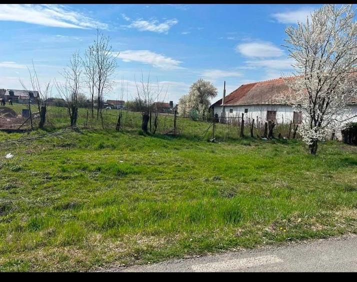 Spațiu comercial, în Țipari