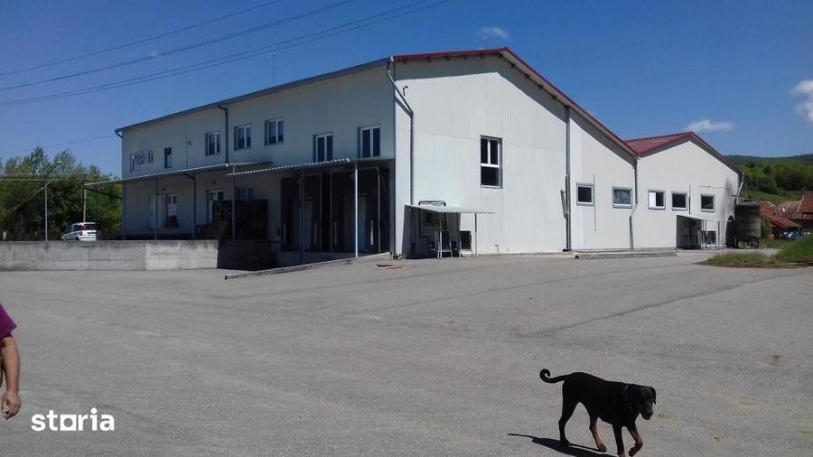 Spațiu comercial, de 1,712 mp, în Baia de Criș