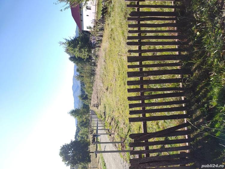 Teren de 5400 mp, în Râșca