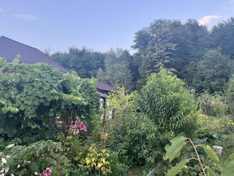 Casă cu 3 camere în Bălilești