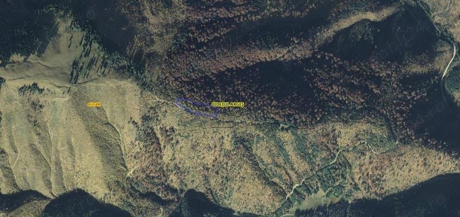 Teren de 50000 mp, în Rucăr