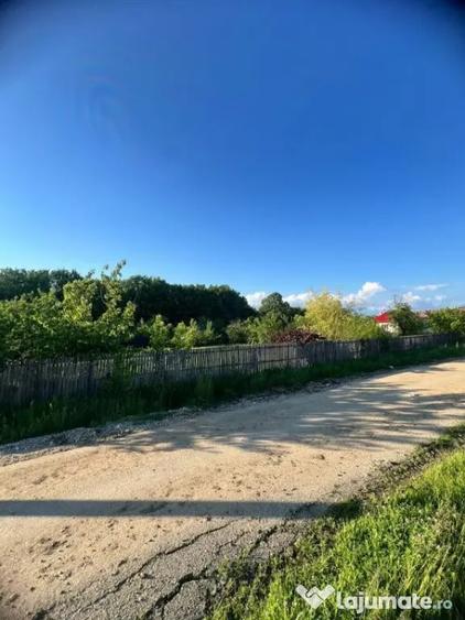 Teren în Moșoaia