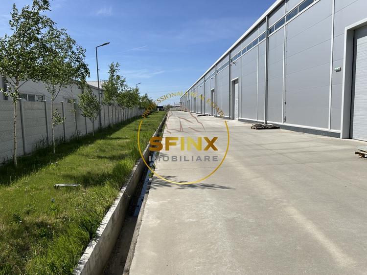 Spațiu industrial, de 2,252 mp, în Cernica