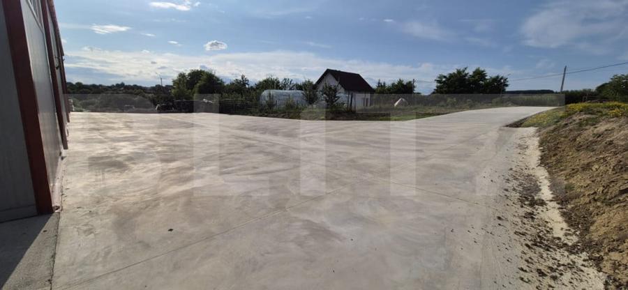 Hala depozitare/productie, 340 mp, Mitocasi - 11