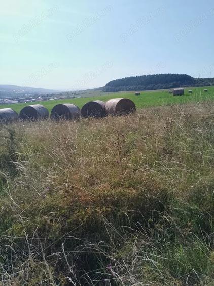 Teren de 8000 mp, în Chinteni