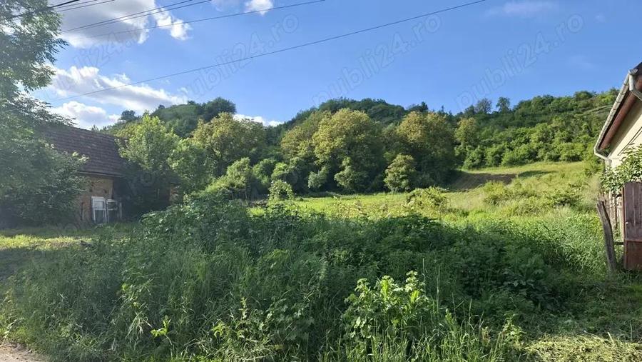 Teren de 2700 mp, în Ivănești