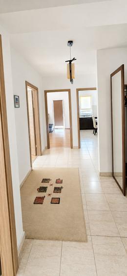 Apartament  Pet Friendly cu 3 camere de inchiriat in Oradea, Prima Nufarul - 6