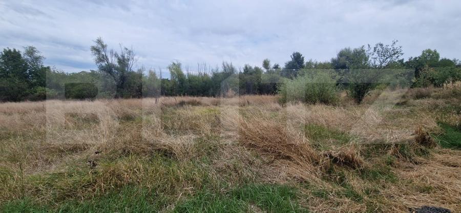 Teren Construcții intravilan de 6850 mp, în Șimnicu de Sus