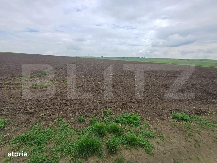 Spațiu comercial, în Cumpărătura