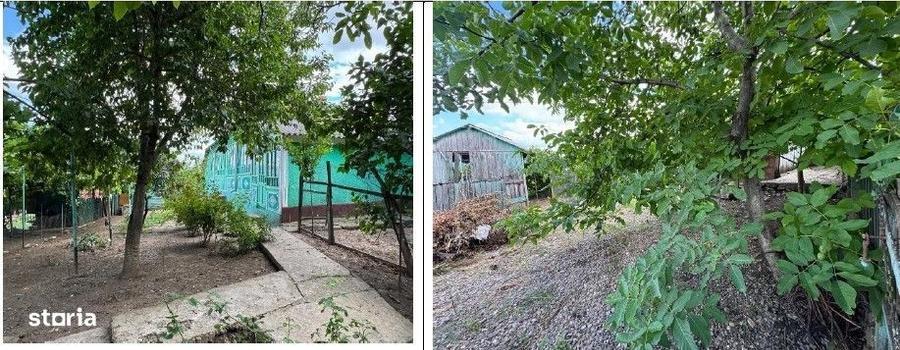 Casă cu 3 camere cu Teren 1481 Mp în Mogoșești