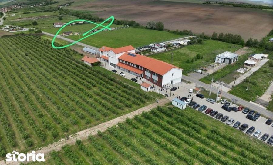 Teren de 2563 mp, în Șura Mică