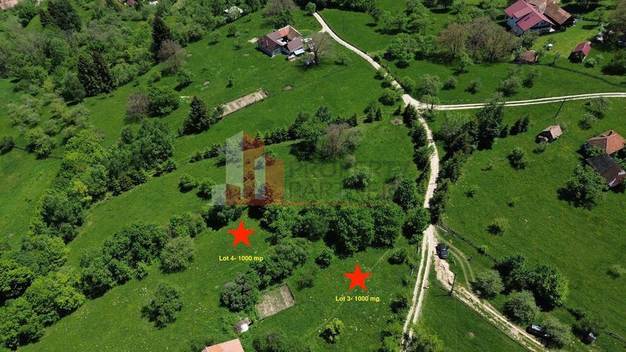 Teren Construcții intravilan de 1000 mp, în Bran