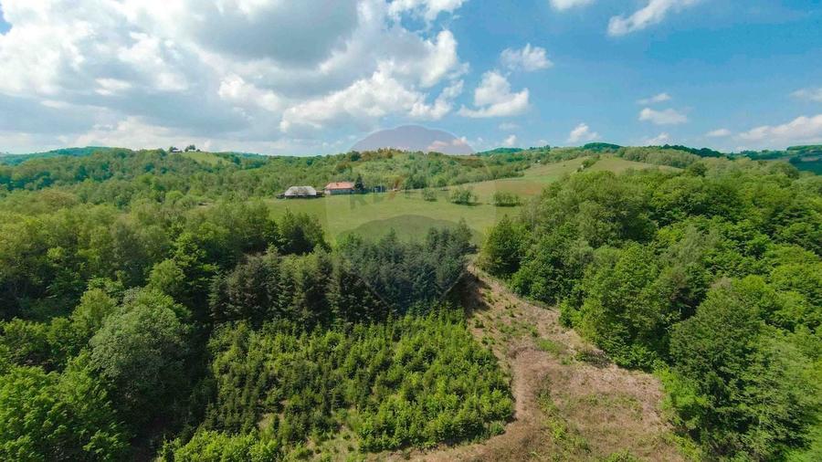 Casă individuală cu 5 camere cu Teren 55706 Mp în Valea Târnei