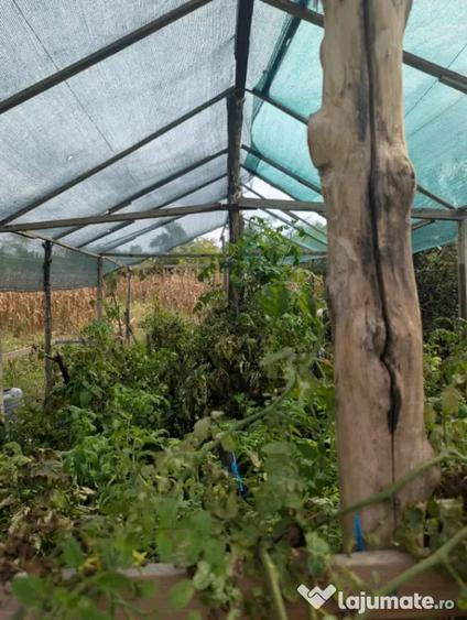 Casă cu 6 camere cu Teren 5165 Mp în Beștepe