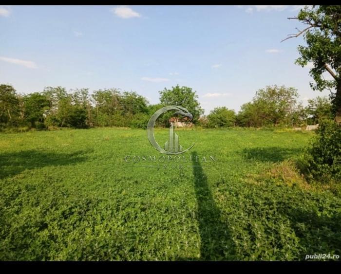 Teren intravilan de 3580 mp, în Călțuna