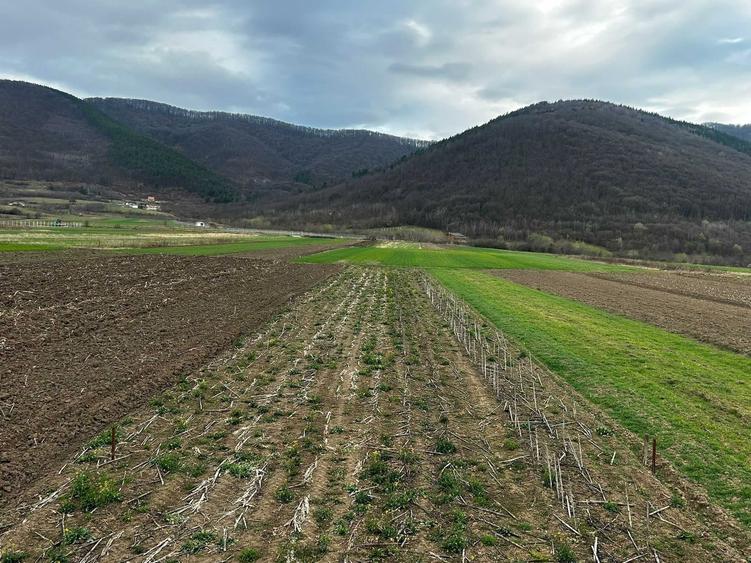 Teren de 900 mp, în Poplaca